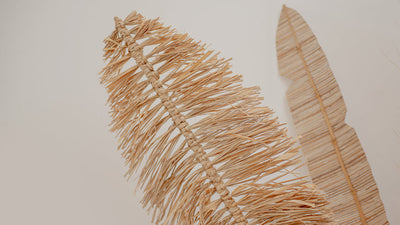 Dry Leaves