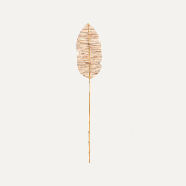 Banana Leaf Large