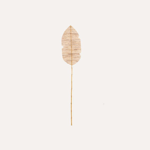 Kluwih Leaf